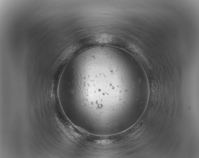 X0000058780212200510071618