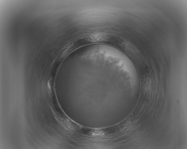 X0000058780214200510071618