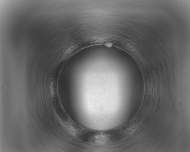 X0000058780216200510071617