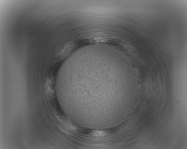 X0000058780218200510071617