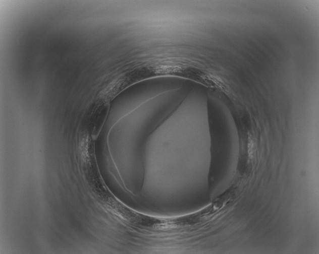 X0000058780219200510071617