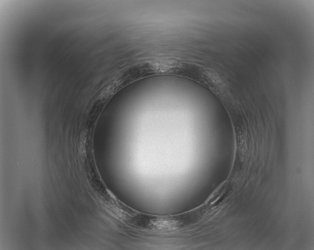 X0000058780221200510071617