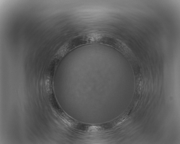 X0000058780222200510071617