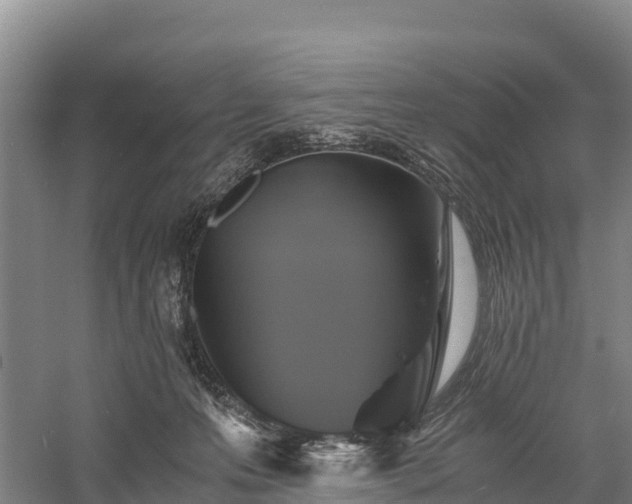 X0000058780223200510071617