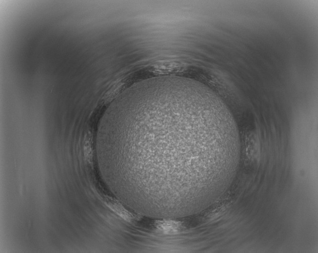 X0000058780226200510071617