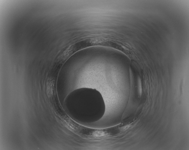 X0000058780227200510071617