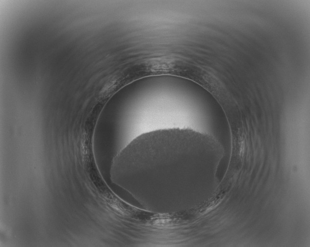 X0000058780228200510071617