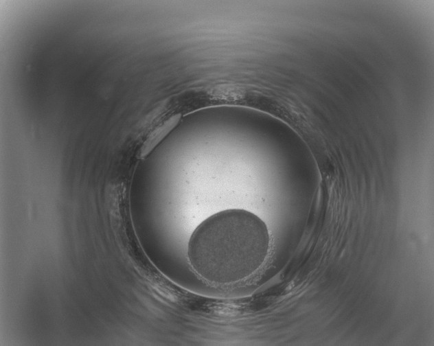 X0000058780229200510071617