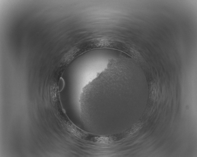 X0000058780230200510071617