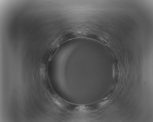 X0000058780231200510071617