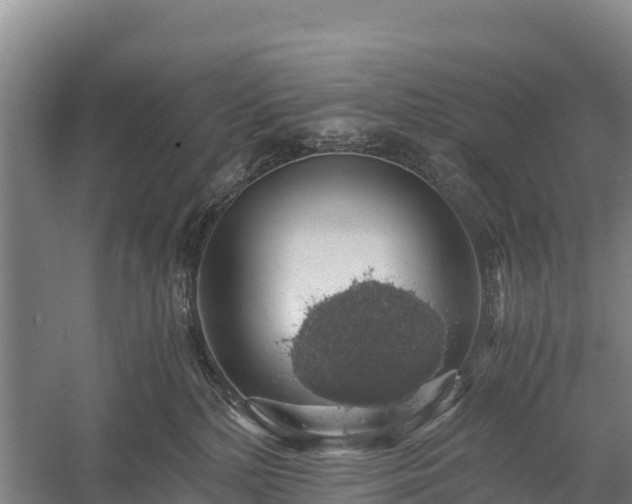 X0000058780232200510071617