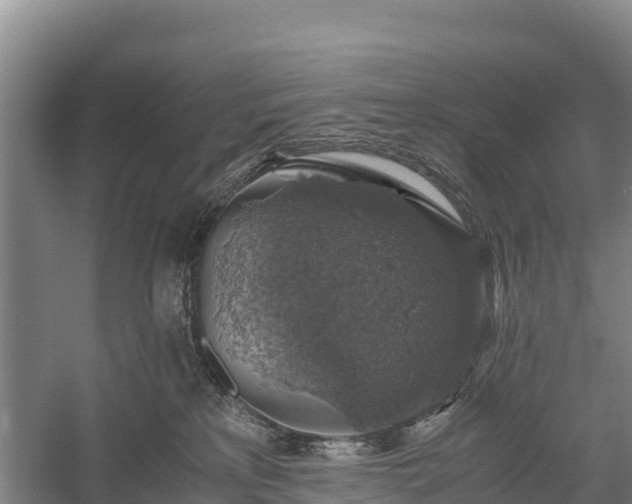 X0000058780233200510071617