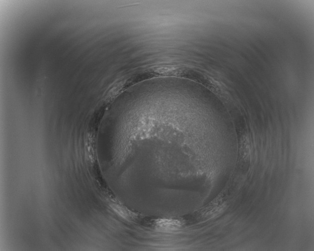 X0000058780234200510071617