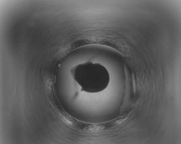 X0000058780235200510071617