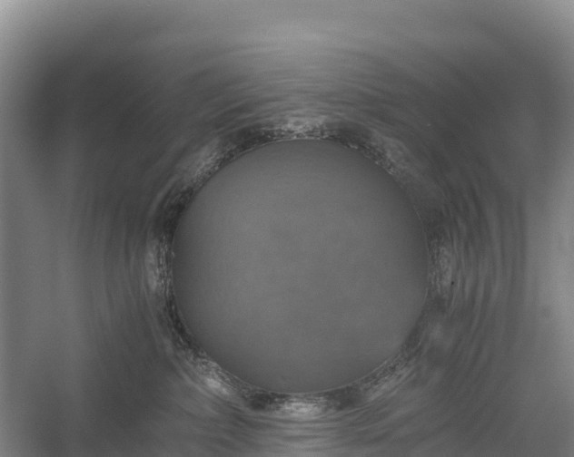 X0000058780236200510071617