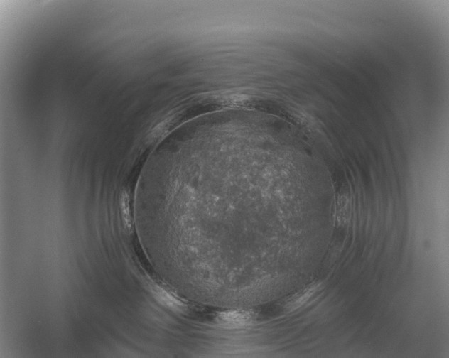 X0000058780238200510071617