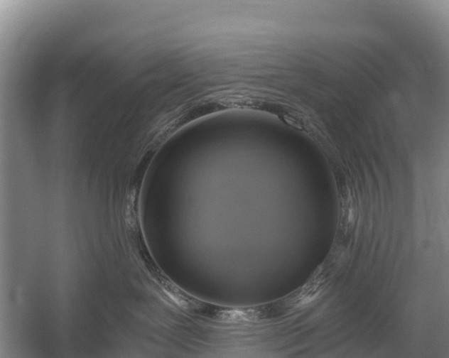 X0000058780239200510071617