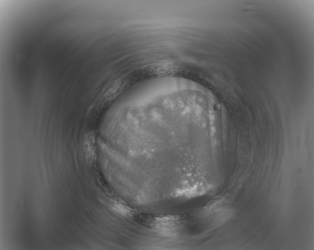 X0000058780240200510071617