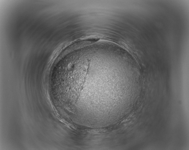 X0000058780241200510071616