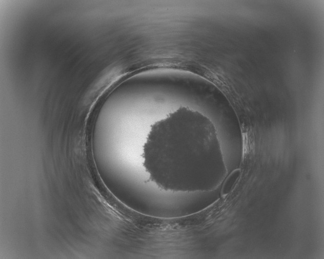 X0000058780243200510071616