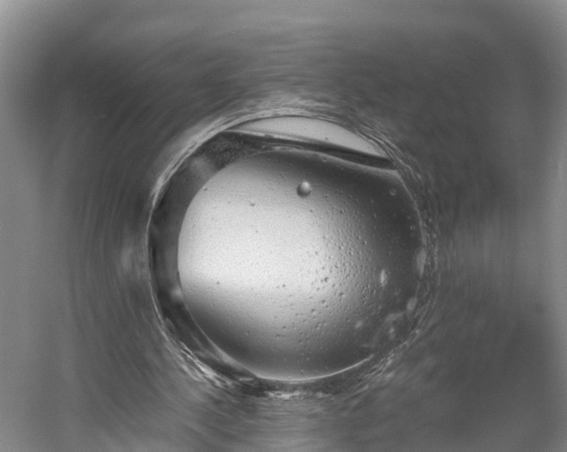 X0000058780244200510071616