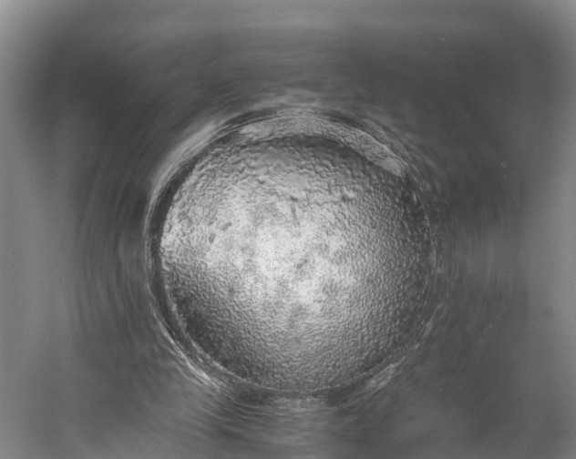 X0000058780245200510071616