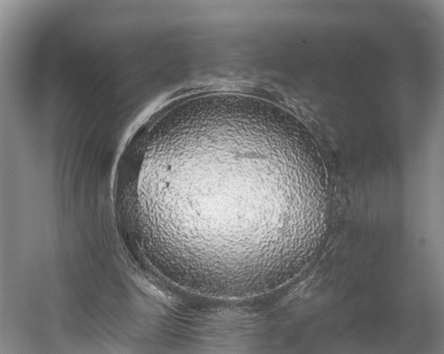 X0000058780246200510071616