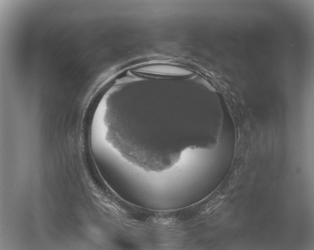 X0000058780247200510071616