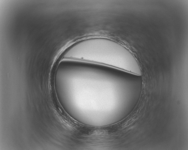 X0000058780248200510071616