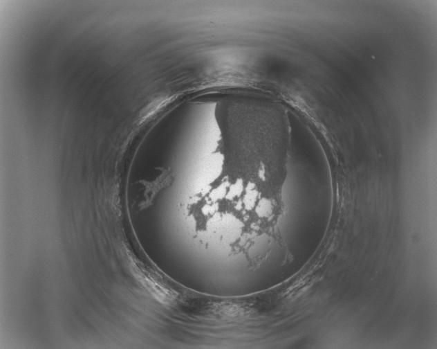 X0000058780249200510071616