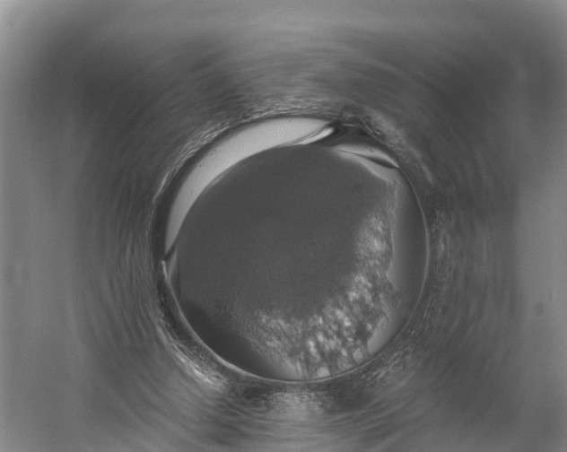 X0000058780250200510071616