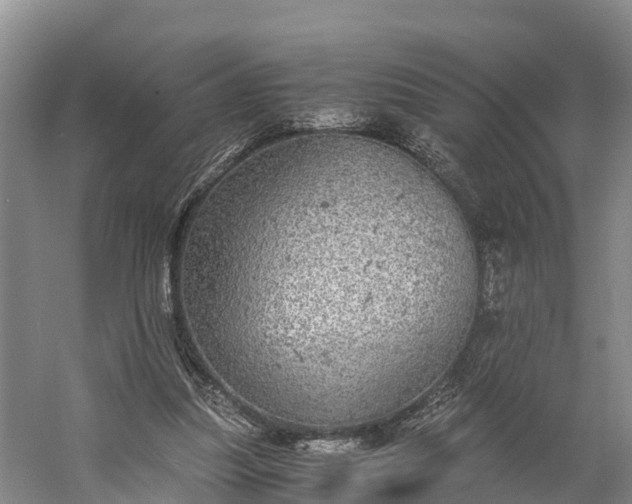 X0000058780251200510071616