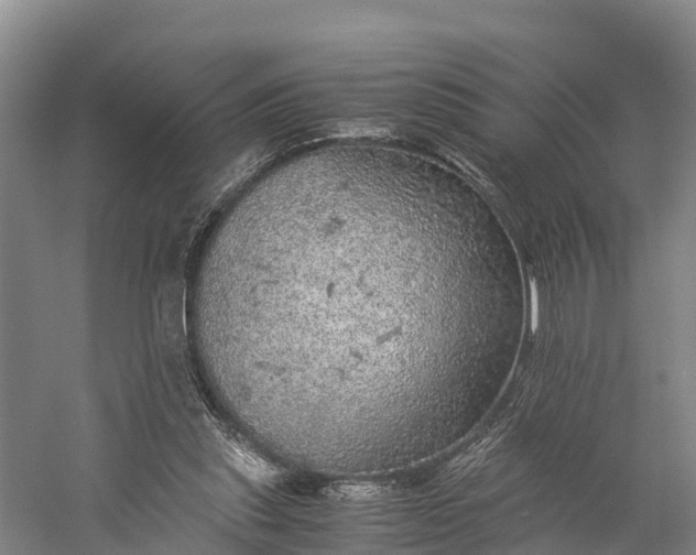 X0000058780253200510071616