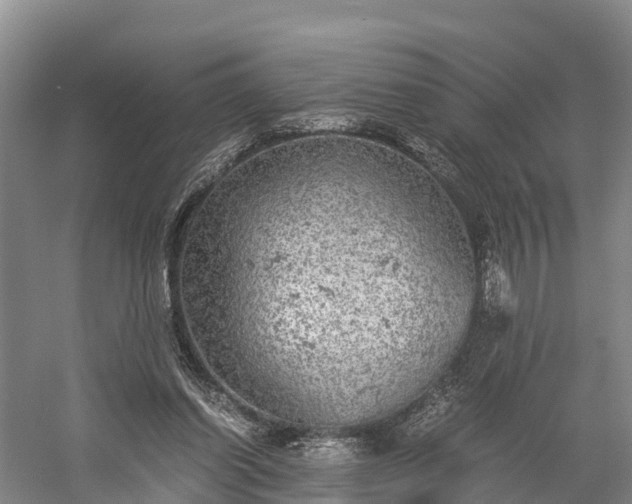 X0000058780254200510071616