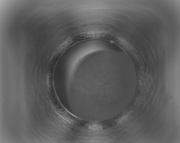 X0000058780258200510071616