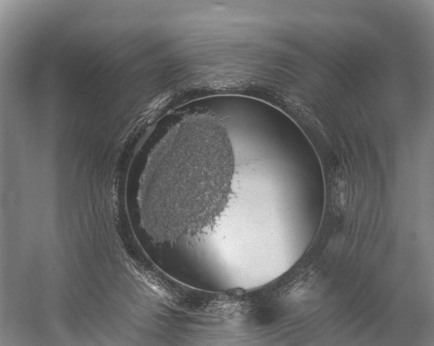 X0000058780260200510071616