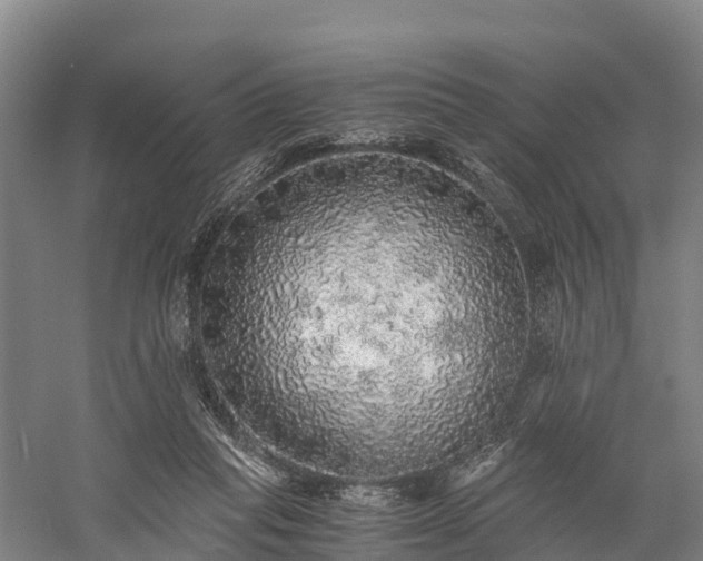 X0000058780261200510071616