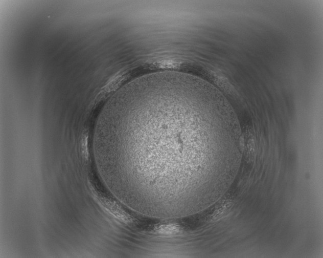 X0000058780262200510071616