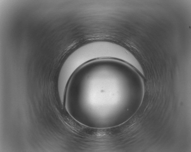 X0000058780264200510071616