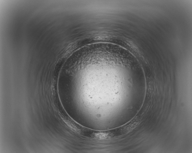 X0000058780265200510071616