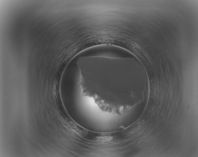 X0000058780266200510071616