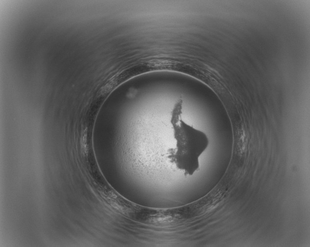 X0000058780267200510071616