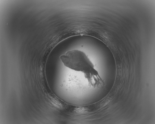 X0000058780269200510071616