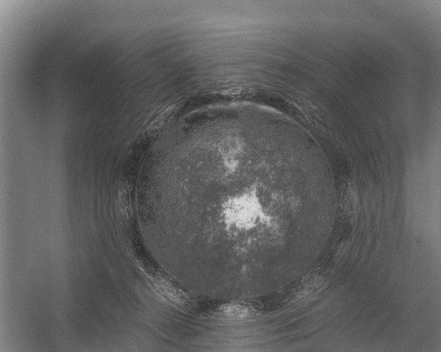 X0000058780272200510071616