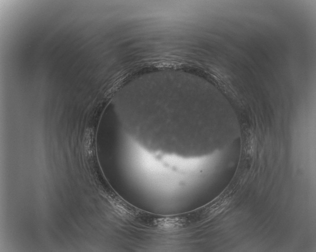 X0000058780273200510071616