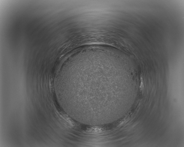 X0000058780276200510071617