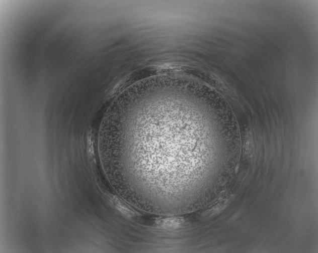 X0000058780282200510071617