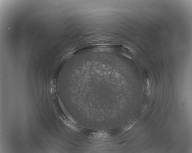 X0000058780284200510071617