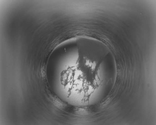 X0000058780285200510071617