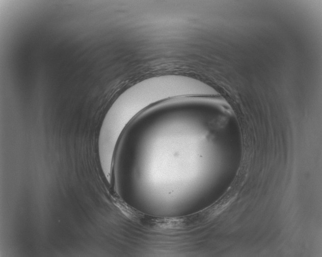 X0000058780288200510071617